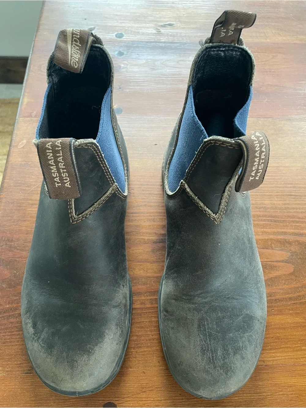 Blundstone Men’s Chukka Boots in Dark Brown with Blue Elastic